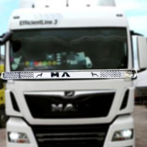 Atrapapiedras cromado para cabina – compatible con MAN TGX Euro 6 (2015–2019)