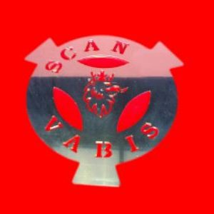 LOGO DECORATIVO PEGATINA VABIS SCANIA (25CM)