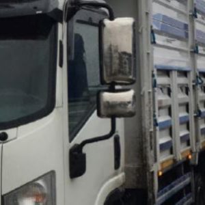 MOLDURA CROMADA PARA ESPEJO (ISUZU)