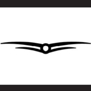 LOGO DECORATIVO CROMADO ALAS MERCEDES BENZ (AXOR)